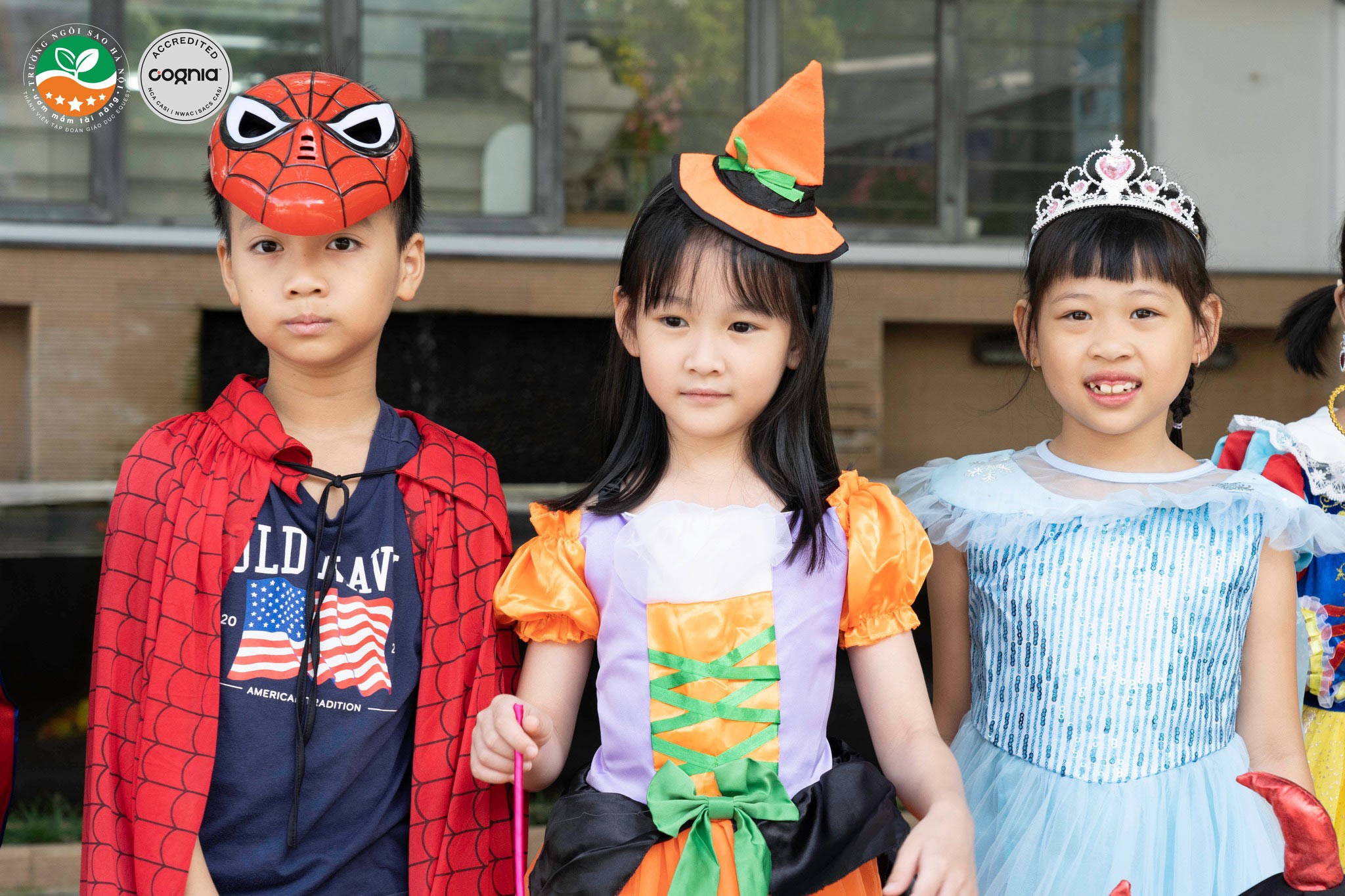 522597843_1265407935621462_4442679352335765070_n