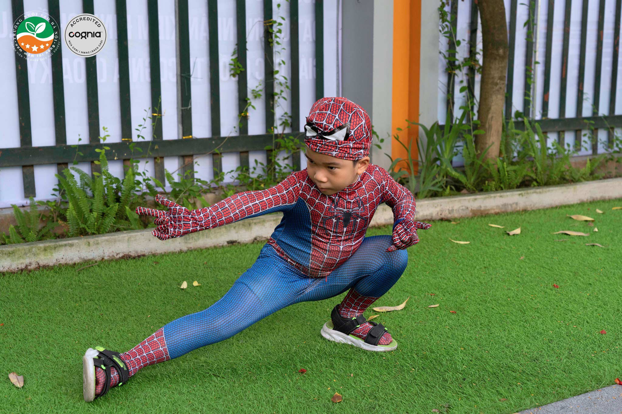 522993357_1265407122288210_5381499953799556824_n