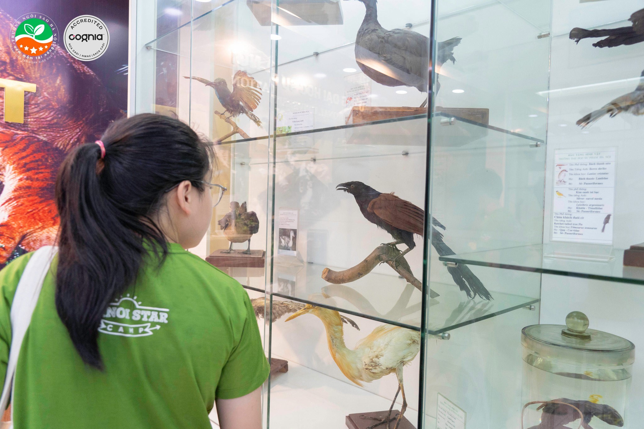 525735039_1273898161439106_5524642402589457905_n