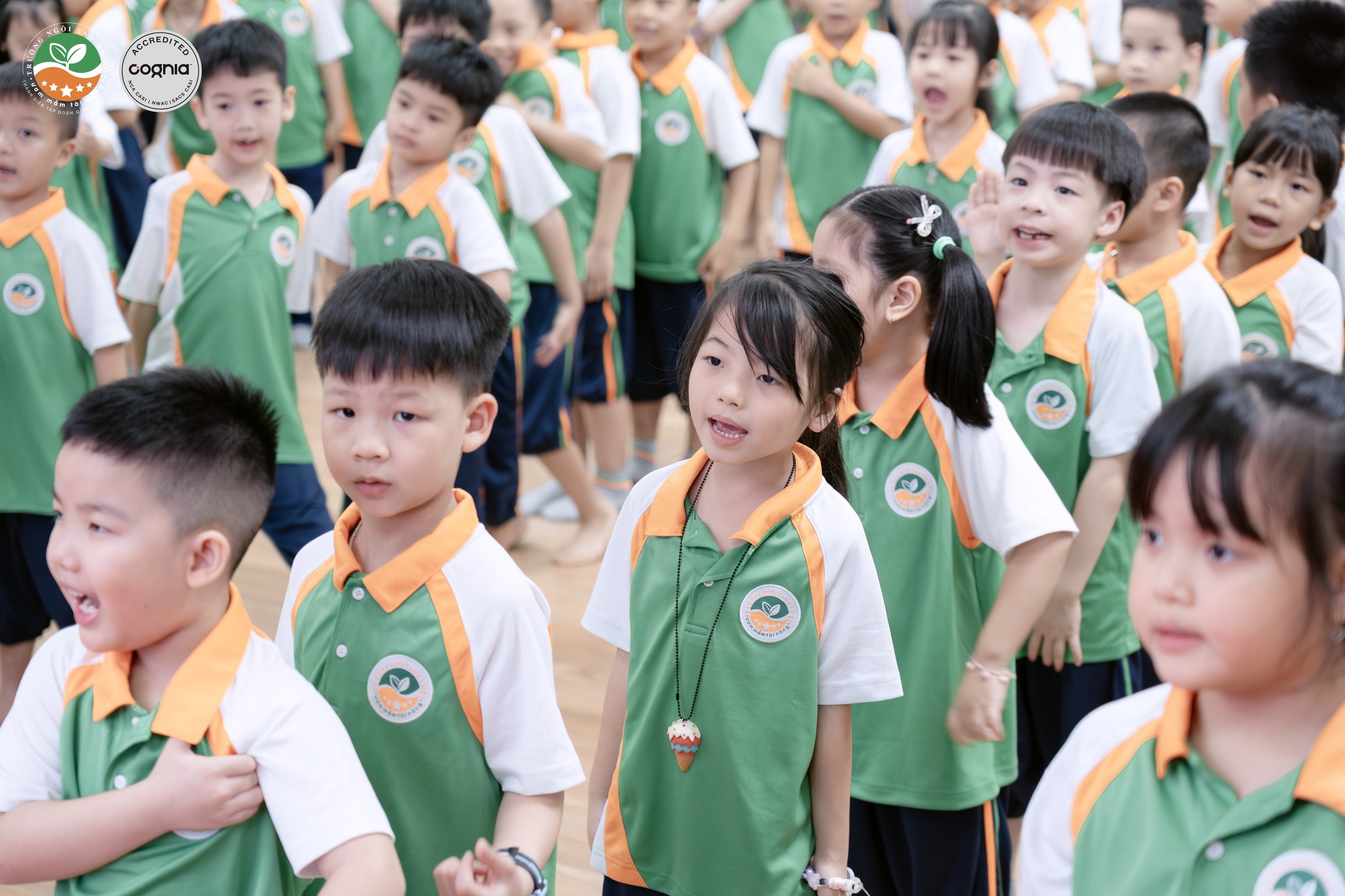 532064061_1290167733145482_7923652420828034383_n