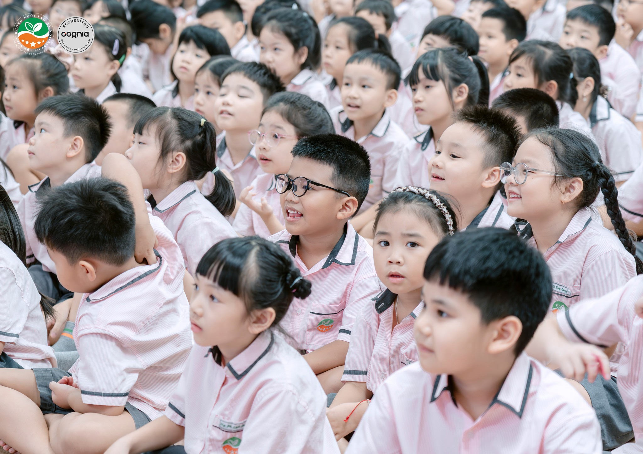 533752702_1290197333142522_7002267606415921394_n