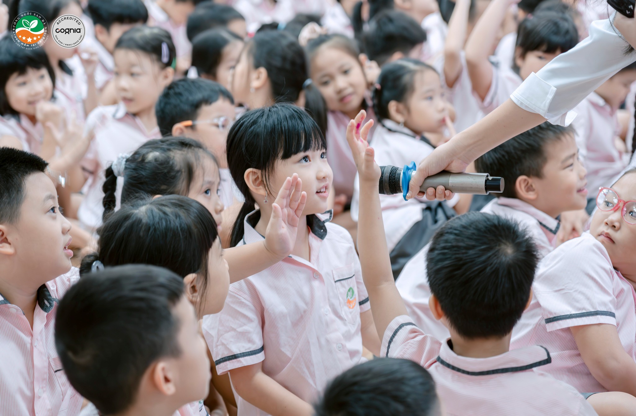 534831751_1290197539809168_189437958840857569_n