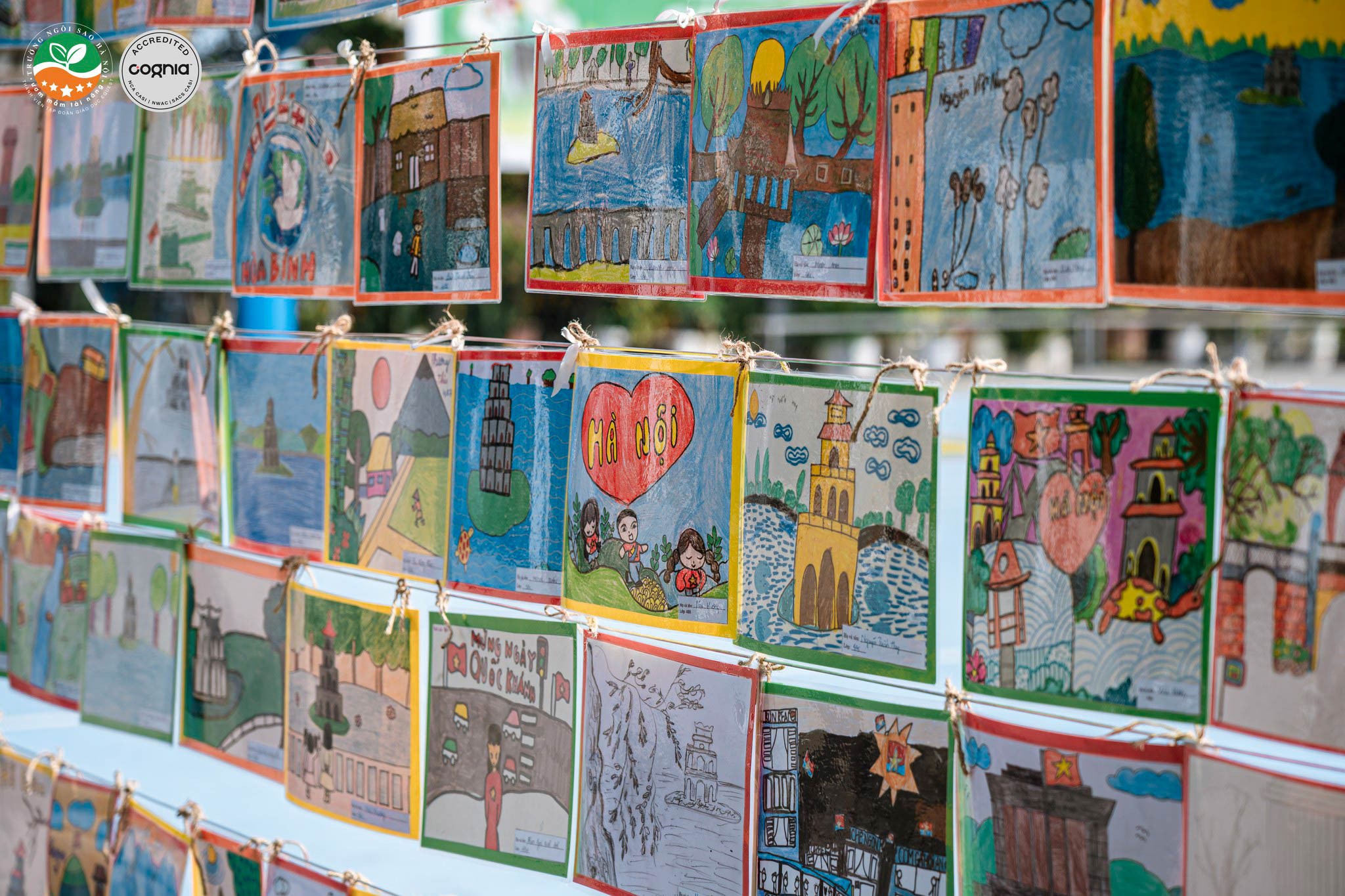 539504966_1303677915127797_5202465933491508190_n