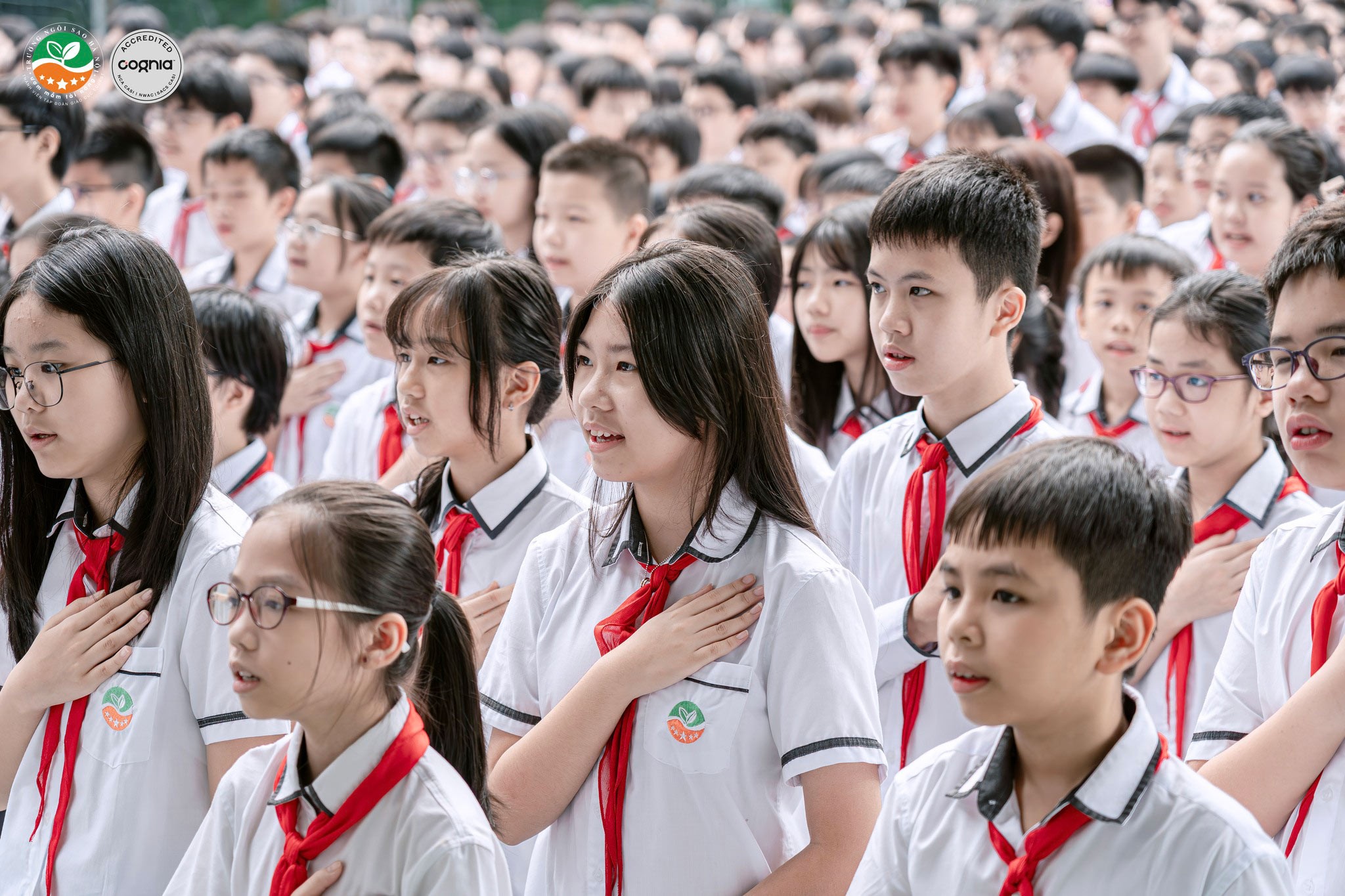 550575771_1328110759351179_1214100640013925122_n