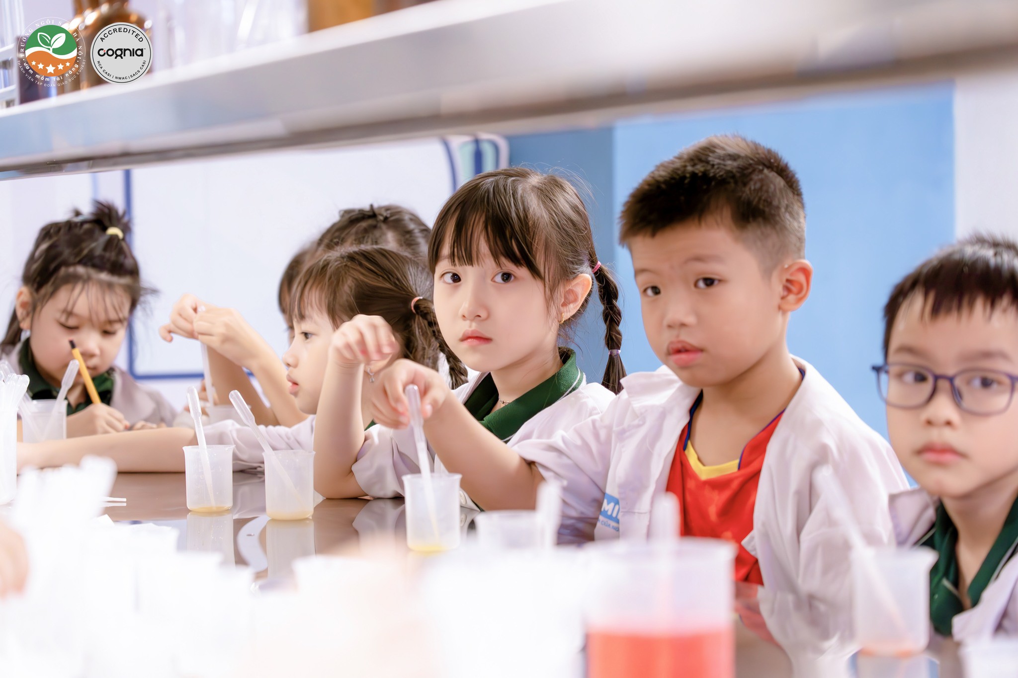 557559612_1341250501370538_2222276115212146910_n