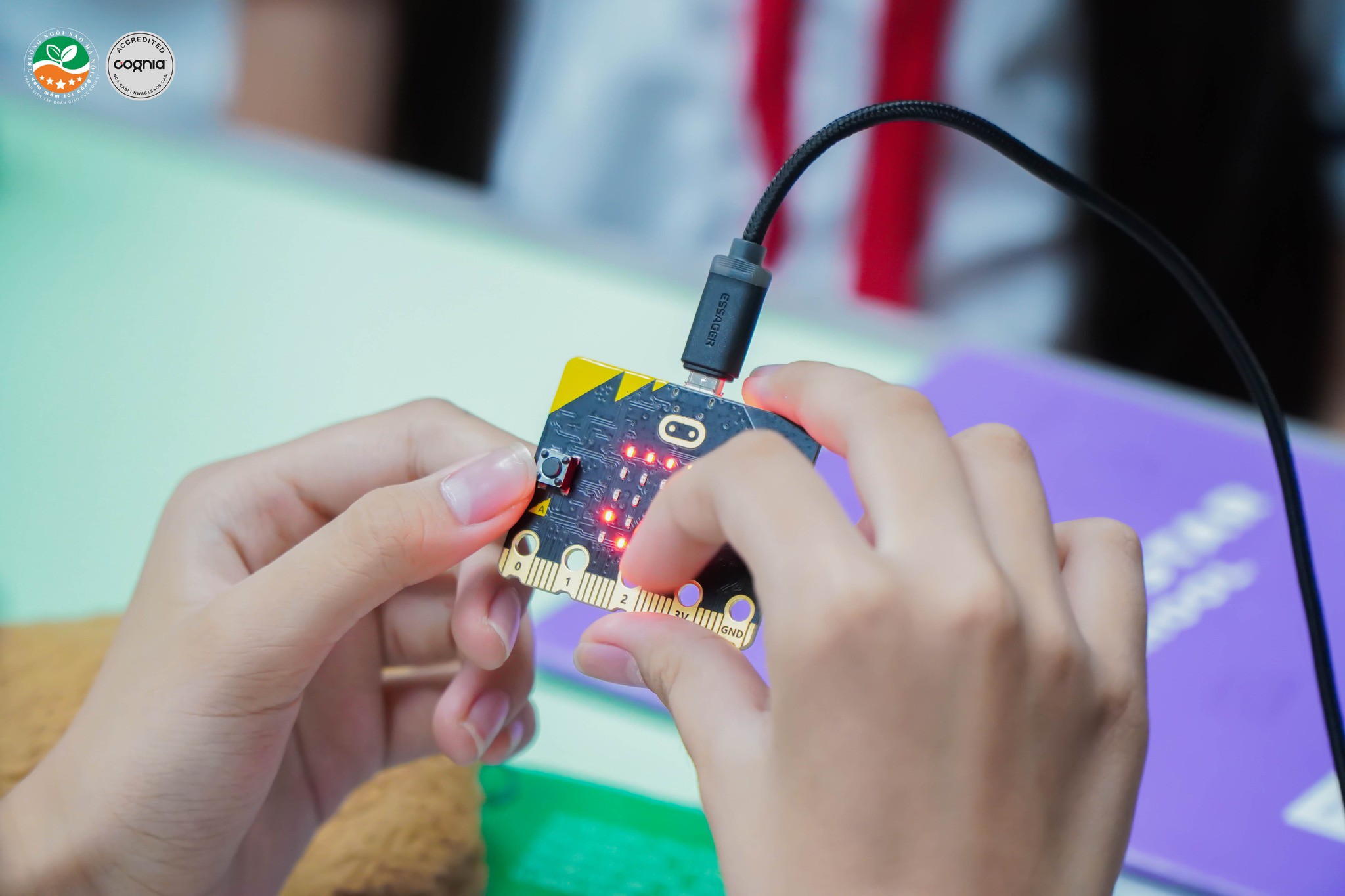 559702258_1349562950539293_4473250731494266438_n