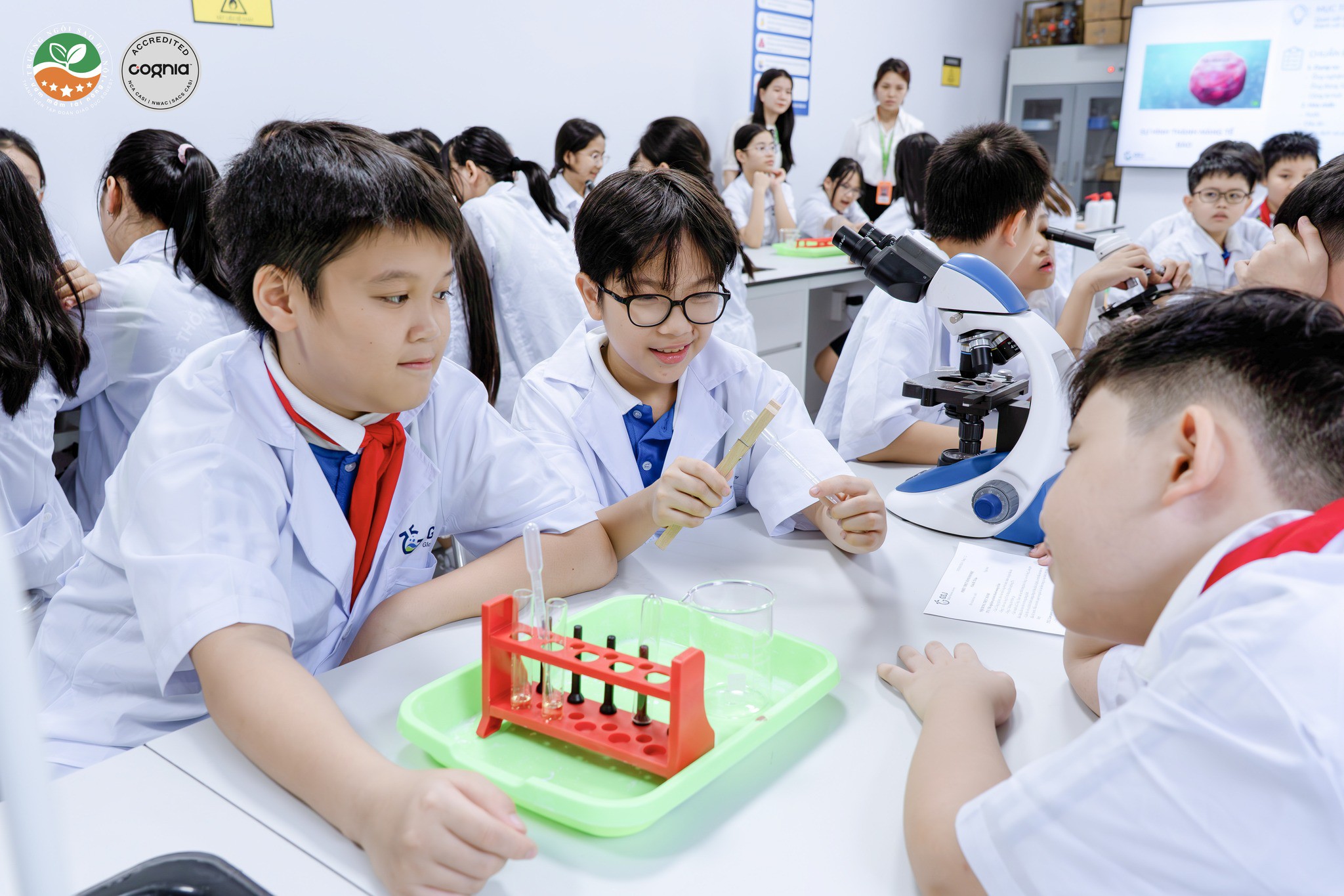 567564398_1361770745985180_8482908162648148676_n