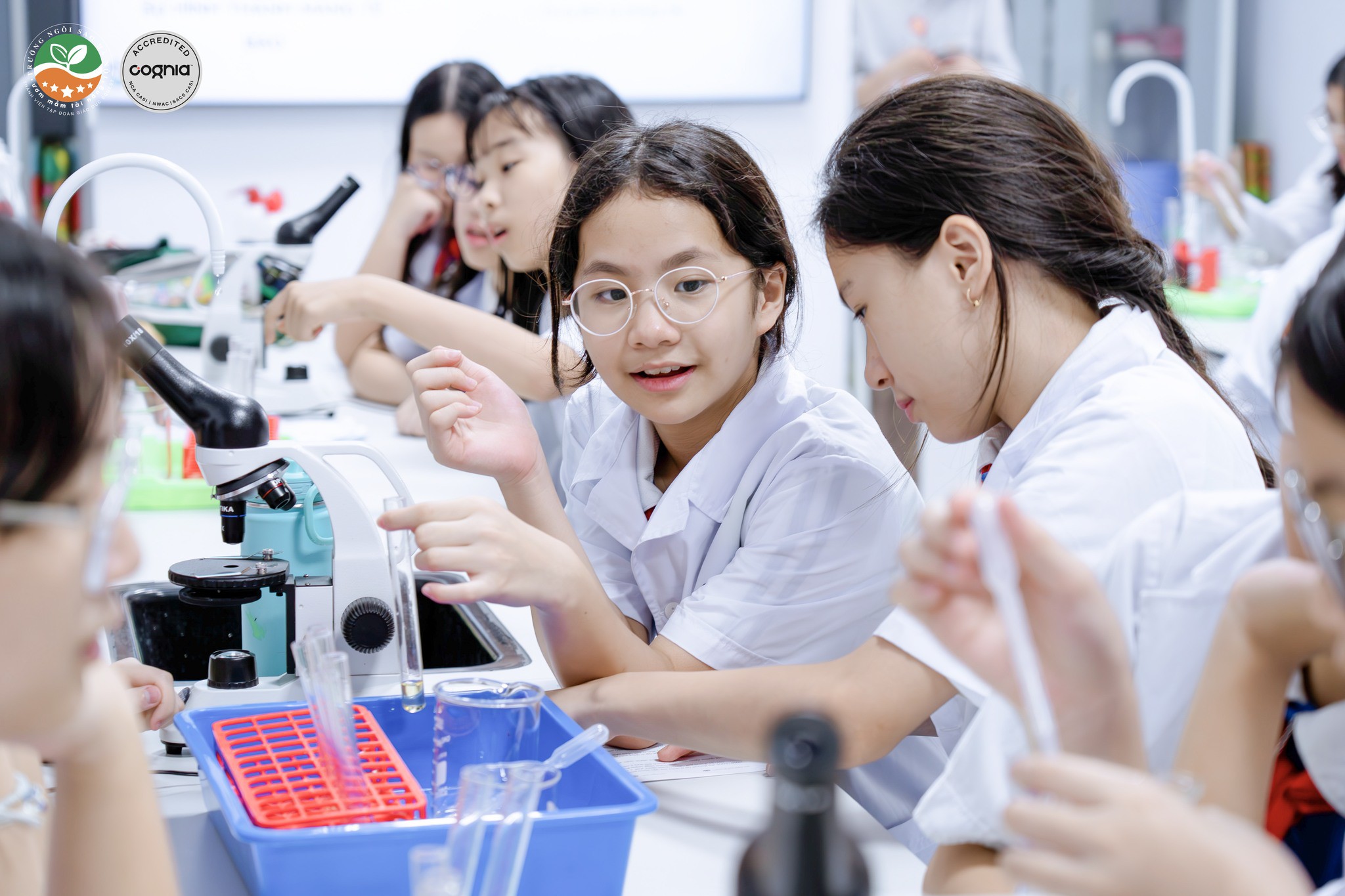 567700479_1361770992651822_8184096693610587195_n