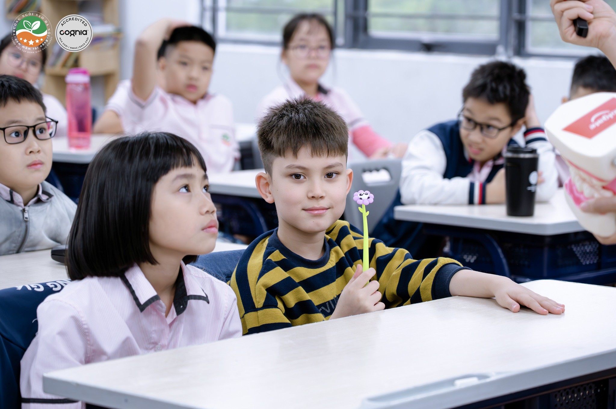 591910723_1403188858510035_8708420919152816472_n